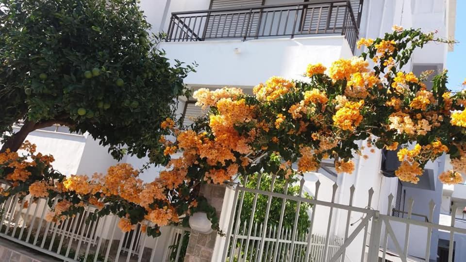 Kardamena Holiday Apartments Exterior foto